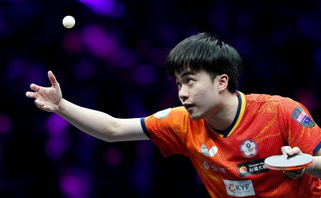 王楚钦约奇克收视率