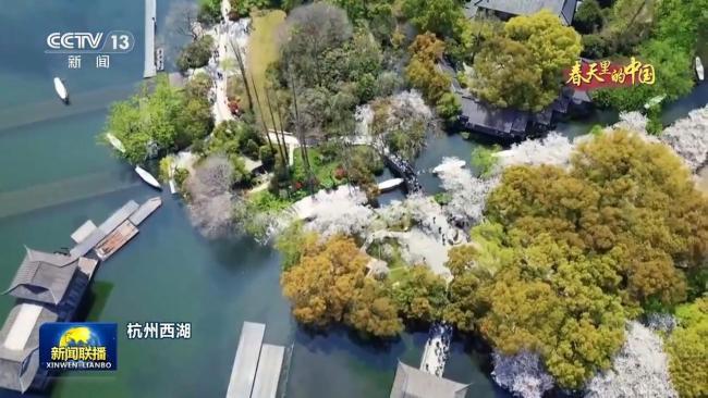 春天里的中國丨繁花遍野 山河皆入春