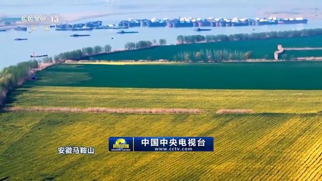 春天里的中国丨繁花遍野 山河皆入春