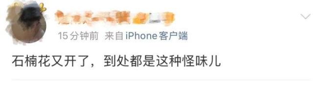 左右为“楠”的季节又到了 石楠花香惹争议