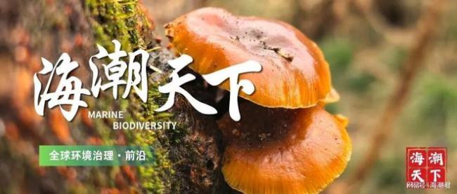 92%的人将遭遇极端热浪！一生气候灾害暴露风险翻倍 全球变暖加剧极端事件