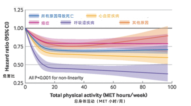 长寿运动排行榜出炉 走路居首引领健康潮流