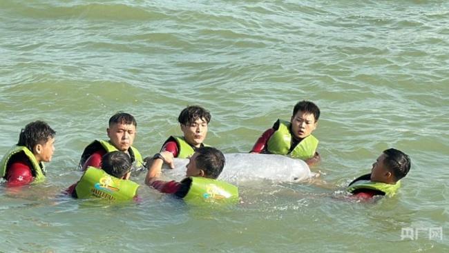 珍稀动物为何爱上福建 绿色生态撑起保护伞