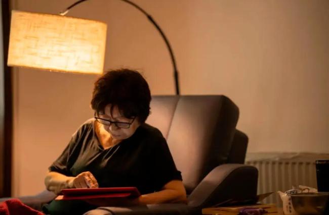 王朔回应杨本芬抄袭 只言片语算不上抄袭