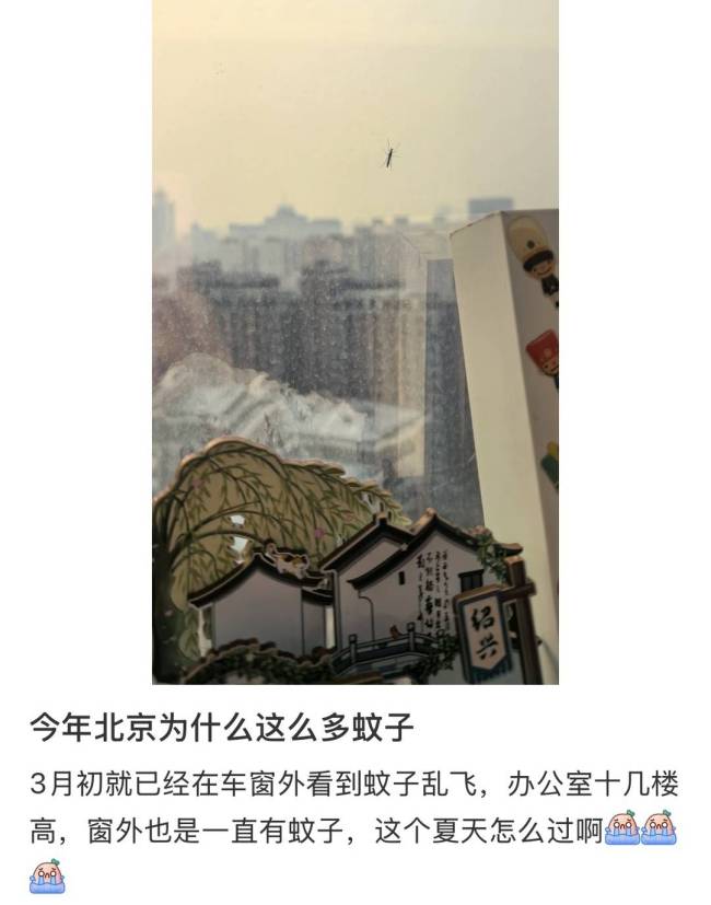 蚊子提前北上了 蚊子提前“开工”!