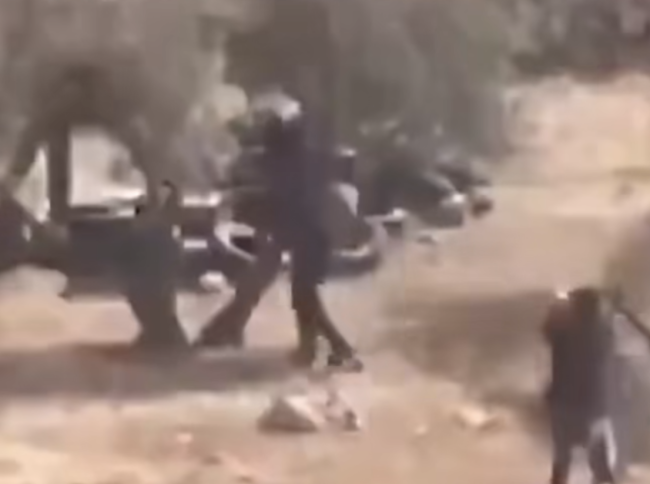 以色列定居者摧毁巴勒斯坦农民生计树木