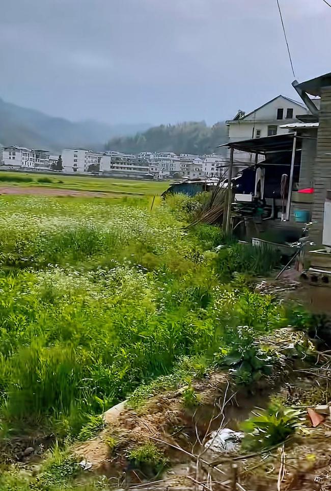 6岁女童遇害案老家干部称霸凌不实 案件细节待查
