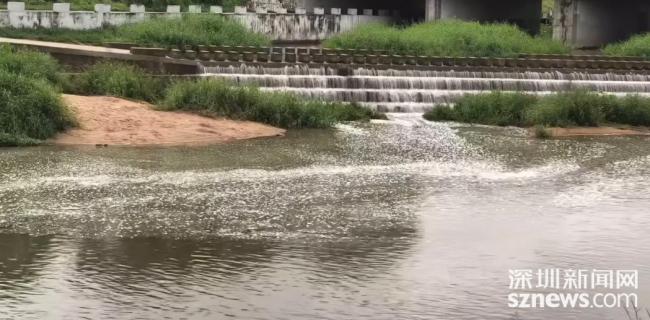 茅洲河水面出现大面积泡沫 官方回应