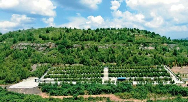 湖南临湘殡改迎来新转机 从“死不起”到“简办不减孝”