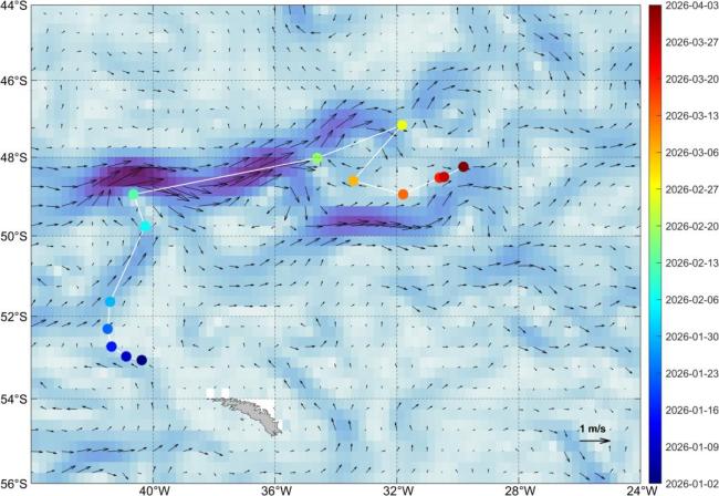 全球最大冰山A23a没了 40年生命史终结