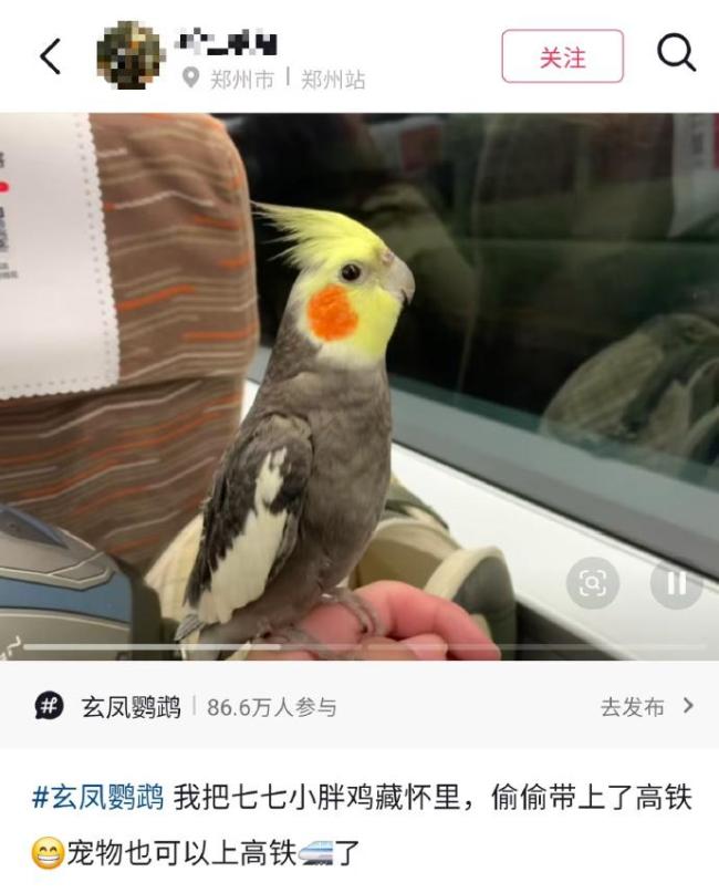 回绝随身佩戴活体动物坐高铁