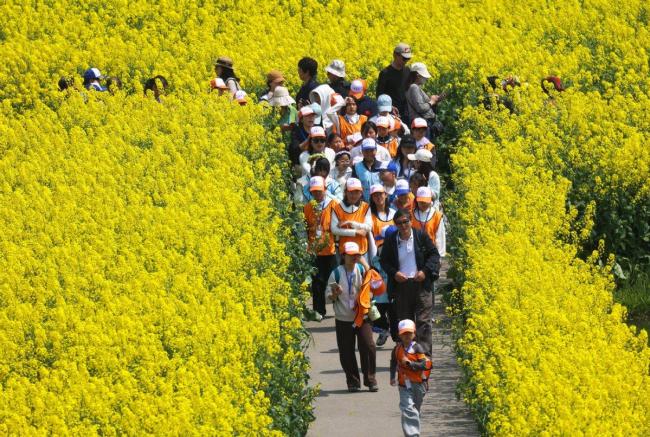 春日经济活力的关键何在 创新供给模式激发消费潜力
