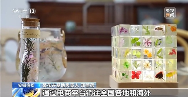 有“顏”又有“值” 朵朵春花點亮鄉(xiāng)村致富路
