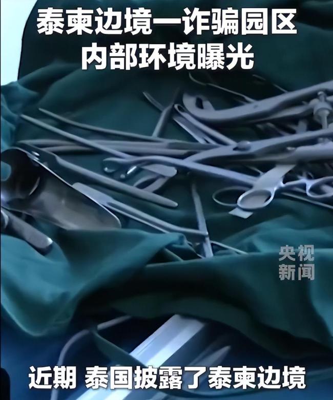 泰柬边境一电诈园内部环境曝光 设施齐全监控严密