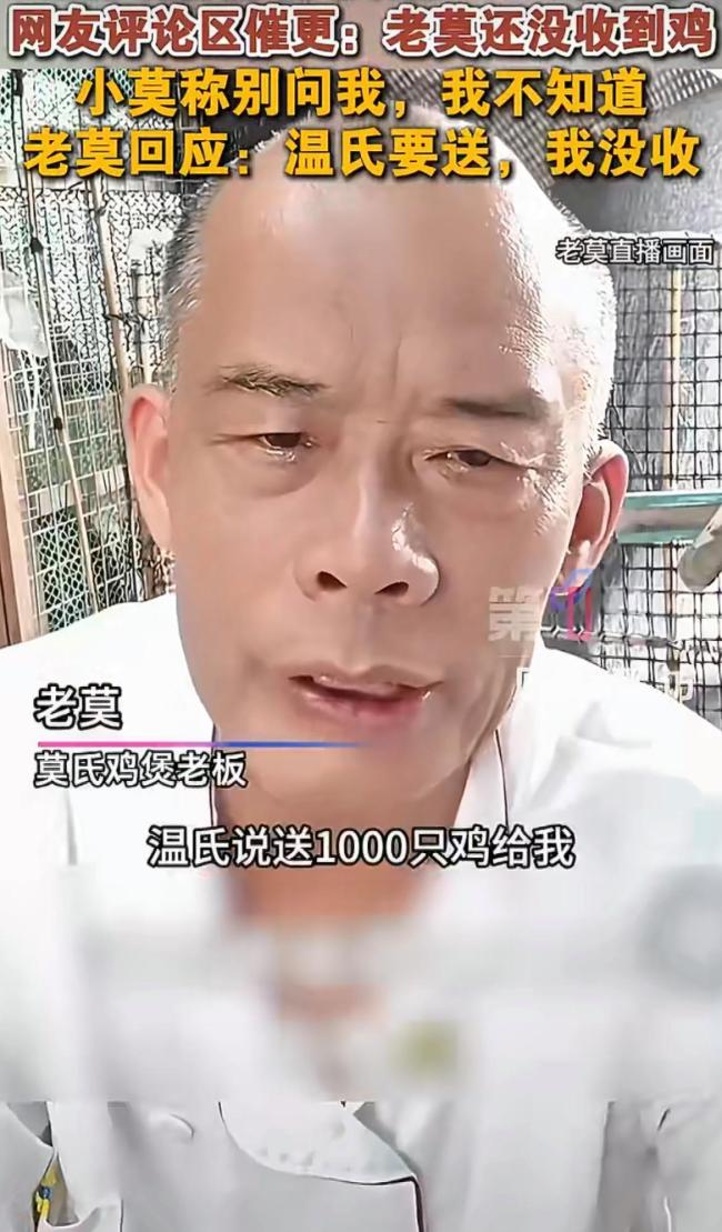 莫氏老板未收温氏1000只赠鸡 坚持散养土鸡原则