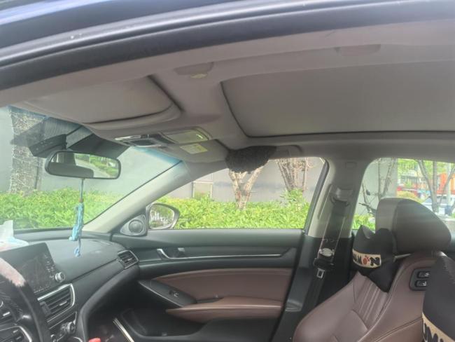 男子忘关车窗发现蜜蜂‌筑巢‌