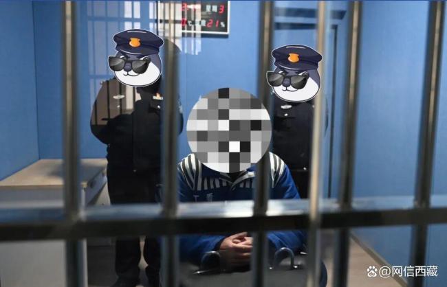 男子假冒警察招摇撞骗被判刑