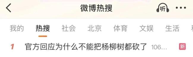 北京飞絮的杨柳树能不能都砍了?相关部门回应