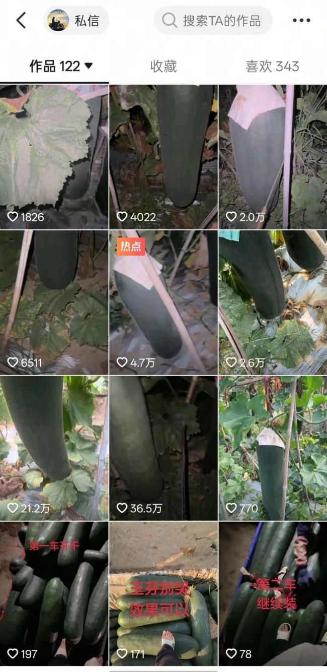 “唯一砍错,莫得放过”!男人听声辩瓜子虚被嘲谑错杀好瓜