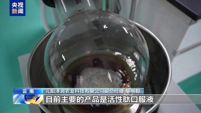 古法引水+現(xiàn)代工程 哈尼梯田遺產(chǎn)區(qū)進(jìn)入最美春耕季