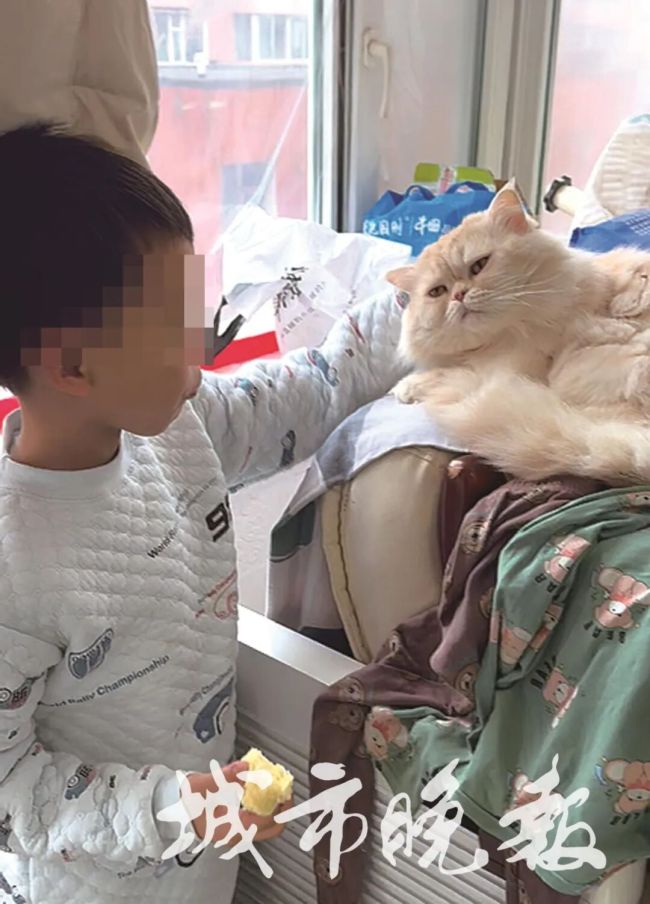 长春姐弟俩被遗留在托管班两年 亲情缺失下的无奈守护