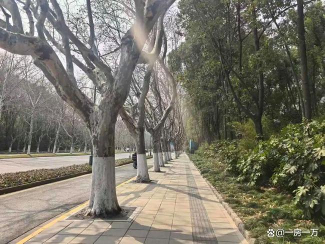 一张图看清上海房价的“水位线” 五年变化揭示板块沉浮