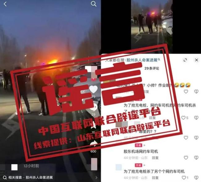 “10万头黑猪让沙漠变绿洲