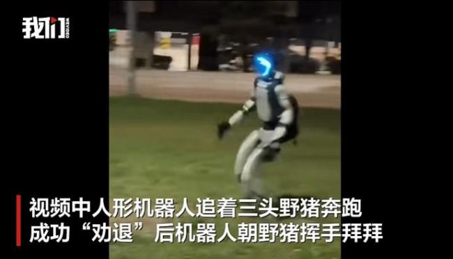 新中国机器人在波兰街头驱赶野猪 未来科技展现