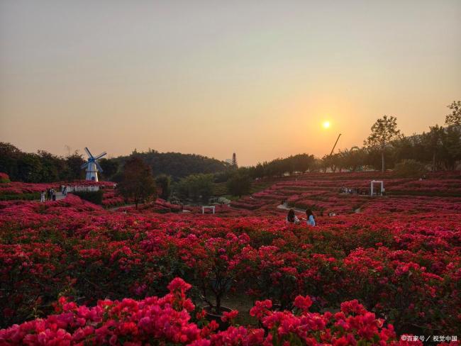 杜鹃花海和彩虹同框 盛放的地球彩带等你来