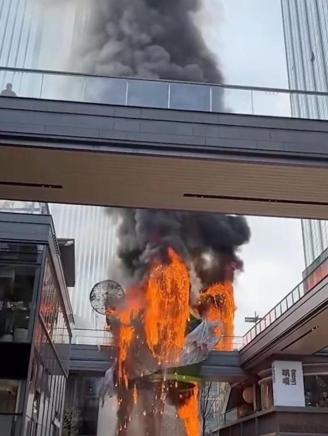 苏州一商场装饰物发生火情 消防已到场处理