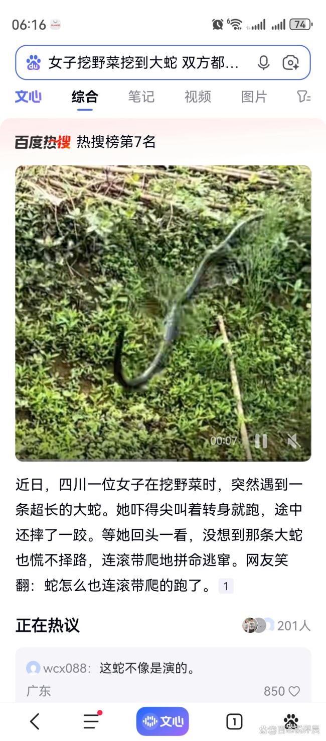 女子挖野菜挖到大蛇双方都吓坏了