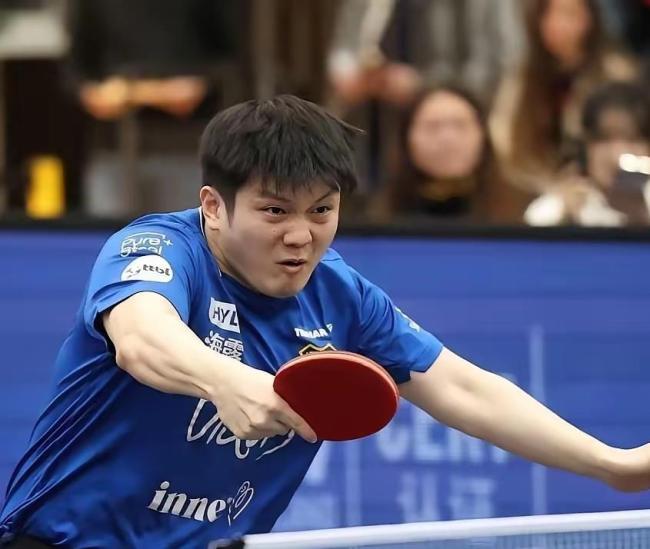 萨尔布吕肯致敬樊振东 乒乓传奇改变小城