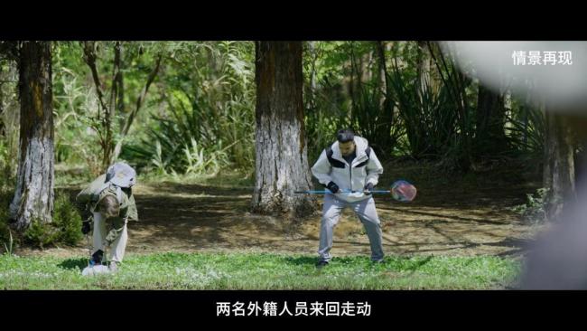 钓鱼佬立功！外籍人员违规捕蝶被识破 生物安全受威胁