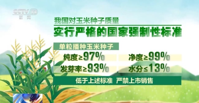 買便宜種子導致減產(chǎn)甚至絕收 警惕“假劣種子”