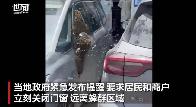 上万只蜜蜂笼罩以色列街道车辆商铺 蜂群引发居民恐慌