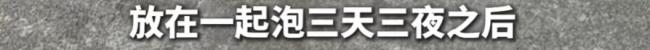 居民喂流浪猫致小区臭气熏天 记者探访现场“yue”个不停