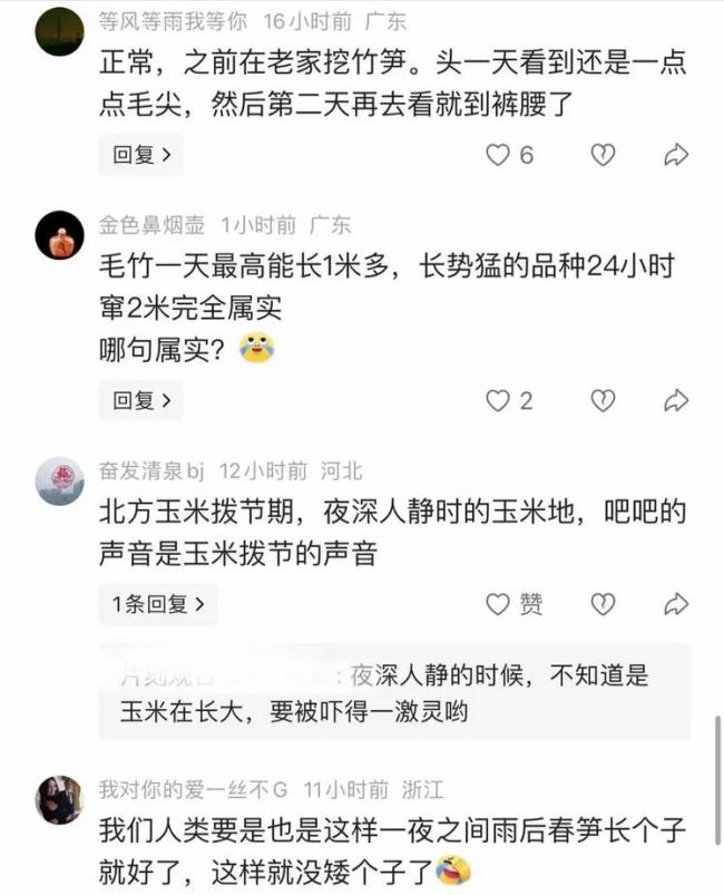阿姨忘掉的衣服竟被竹子“穿走” 大自然的神奇力量