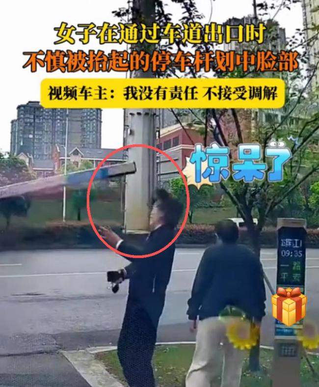女子从车辆出口穿行被抬起杆头碰伤 无视警示反索赔引发争议