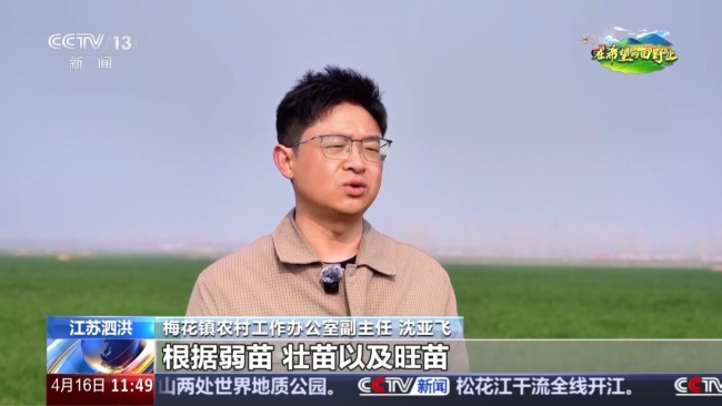 机器播种 “智慧春耕”正在进行中