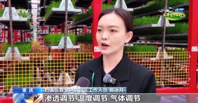 机器播种 “智慧春耕”正在进行中