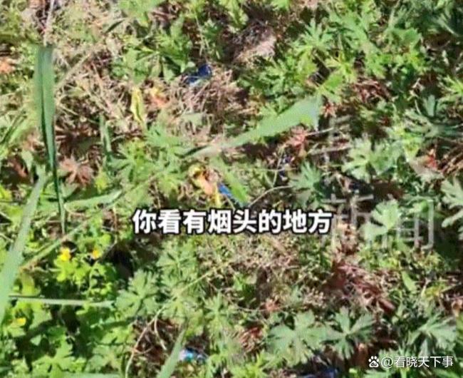 男子发现扔烟头地方不长草决定戒烟 直观警示触发戒烟念头