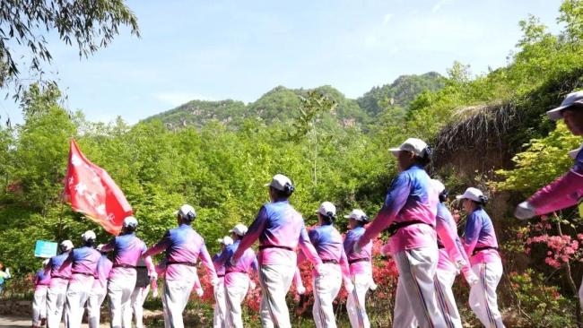 汝阳西泰山杜鹃花海霸屏指南 赏花季盛大开幕