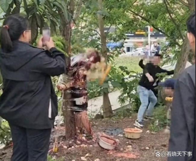 新郎被捆树上是没犯法还是不执法