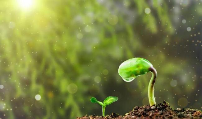 提醒！北京明后天局地有分散性雷雨 山区需防雨注意安全