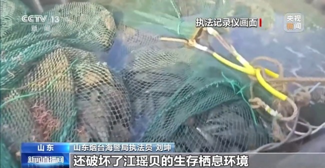 海警依法查处两起破坏海洋生态违规案件