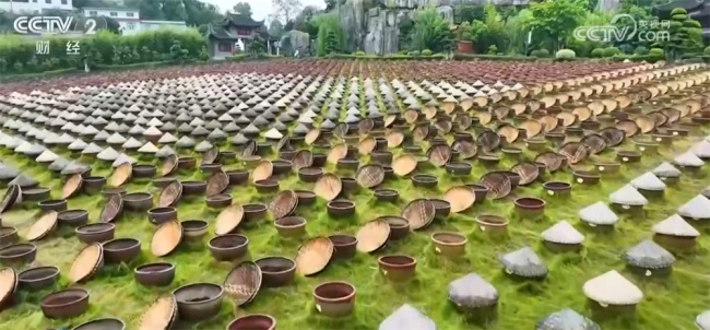 出入境旅游双向升温 “五一”文旅市场蓄势待发