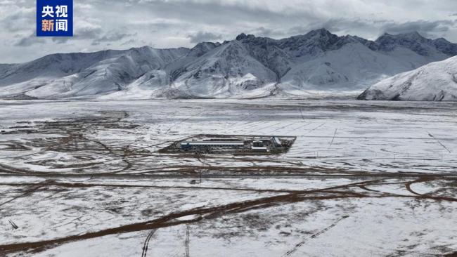 我国首次实现批量克隆10头牦牛 攻克繁殖率低难题