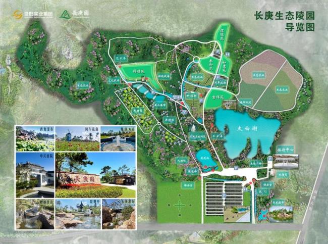 生态园变墓地一套卖200万 承诺生态项目成空