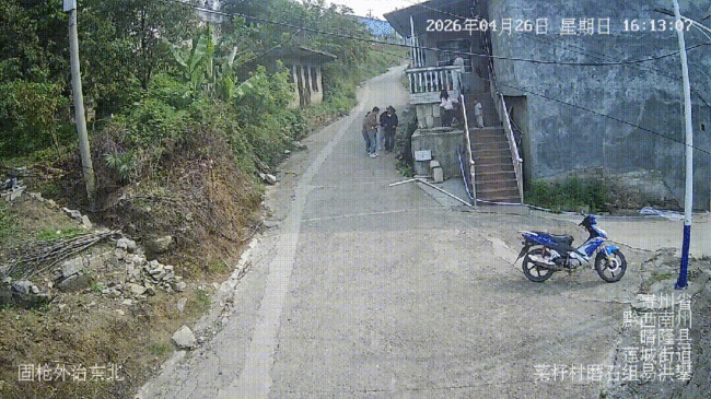 救助一线丨“蛇王” 闲逛觅食！吓坏群众 晴隆消防火速拦截