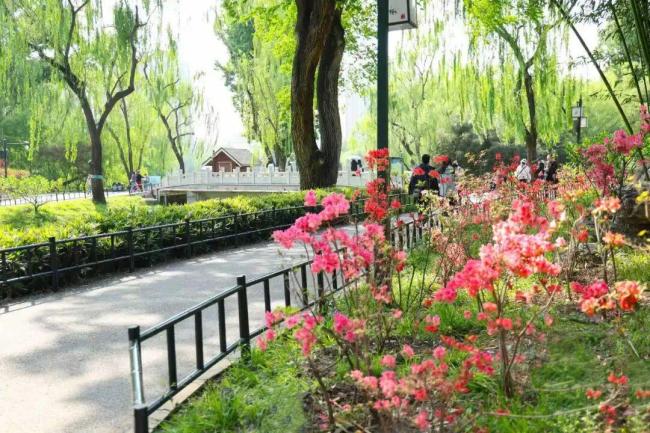“五一”打卡北京专属假日美学 全龄友好活动等你来